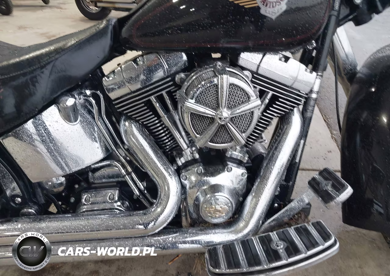 2001 Harley-Davidson Flstf VIN:1HD1BMY171Y042539 - 8
