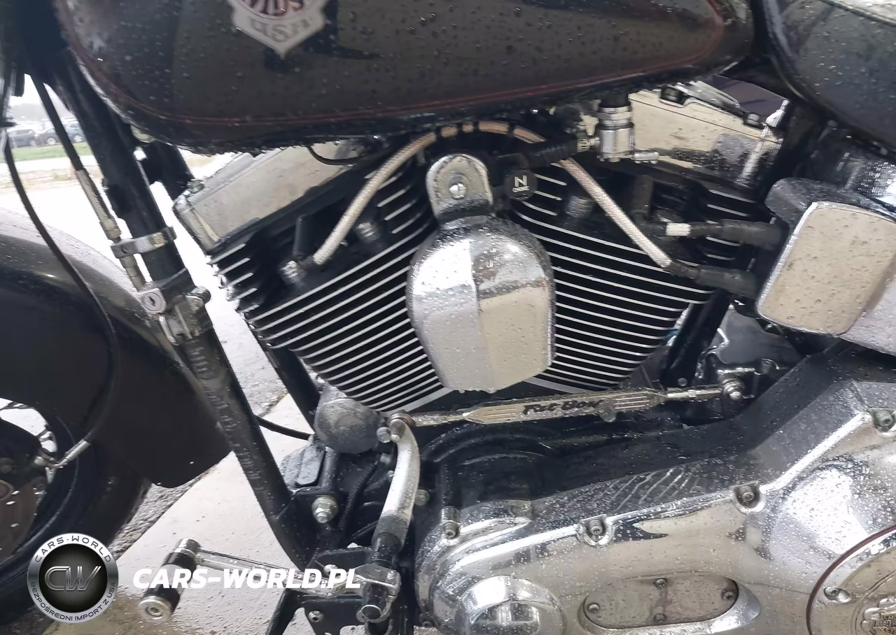 2001 Harley-Davidson Flstf VIN:1HD1BMY171Y042539 - 9