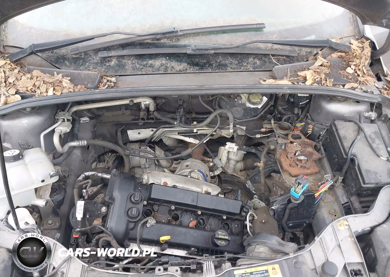 2013 Ford Focus Se VIN:1FADP3K21DL379517 - 10