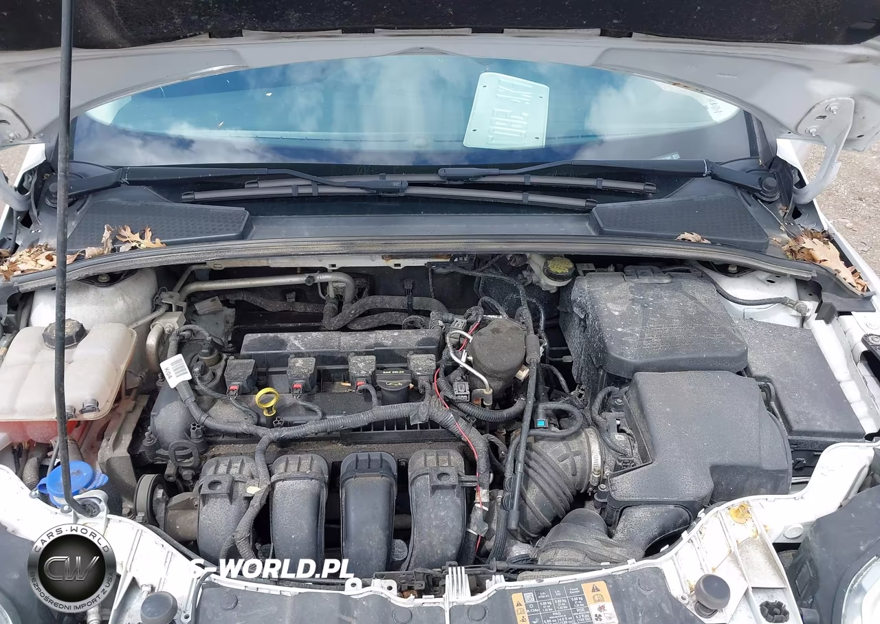 2014 Ford Focus Se VIN:1FADP3K2XEL317938 - 10