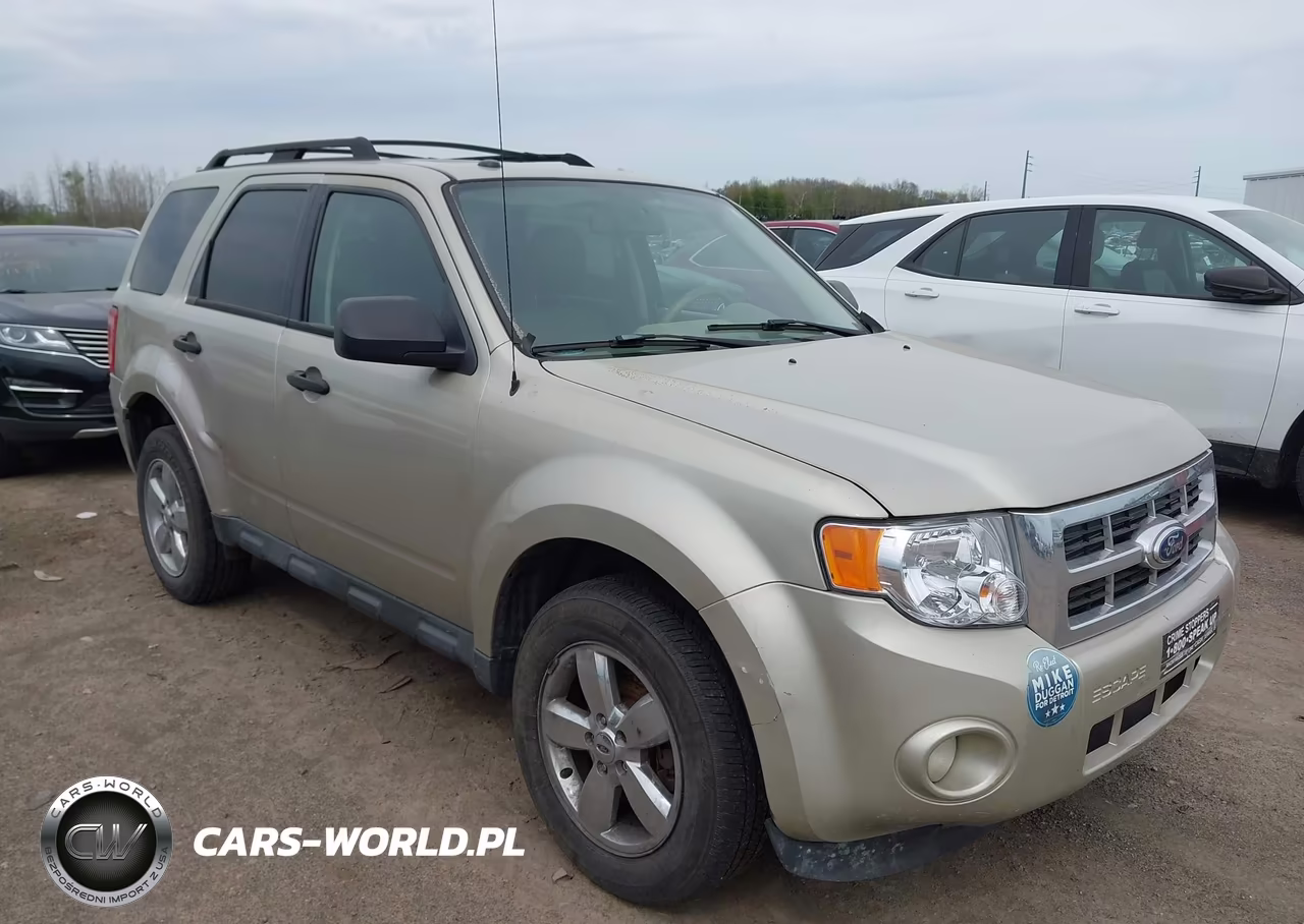 2010 Ford Escape Xlt