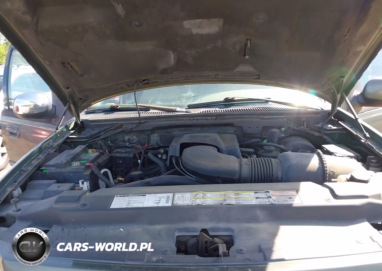 2001 Ford Expedition Eddie Bauer VIN:1FMPU18L91LA74181 - 10