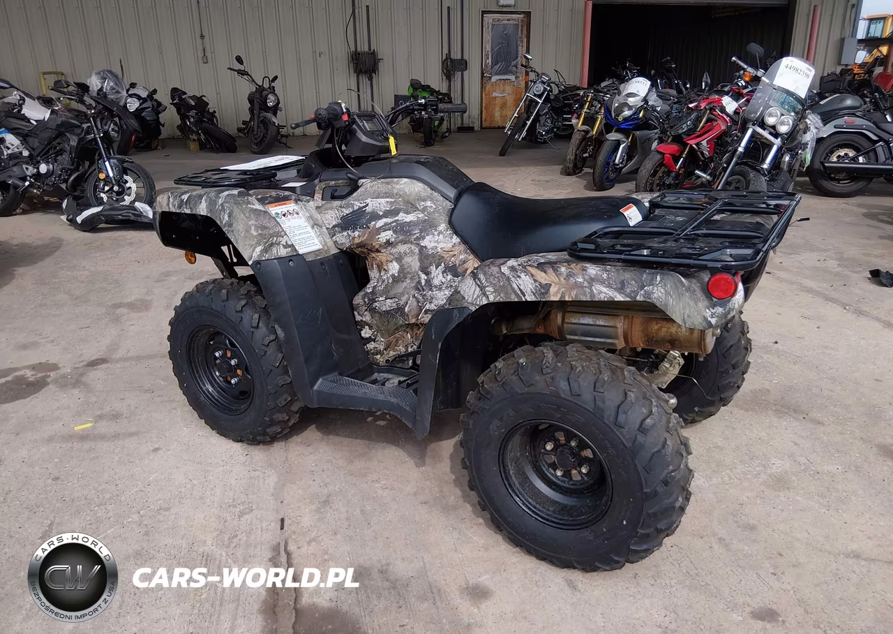 2025 Honda Trx420 Fm VIN:1HFTE4052SJ100900 - 13