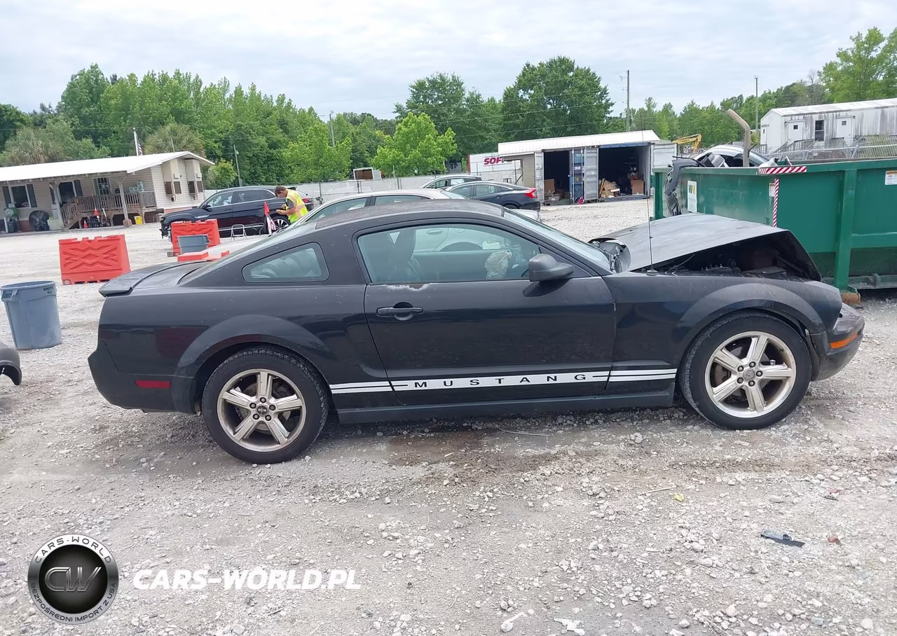 2008 Ford Mustang V6 Deluxe-V6 Premium VIN:1ZVHT80N985173807 - 13