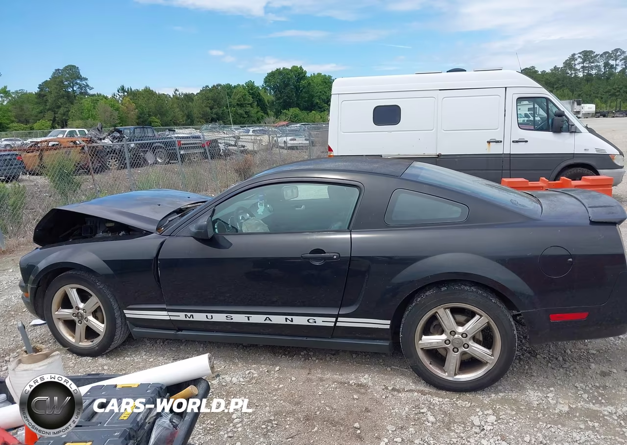 2008 Ford Mustang V6 Deluxe-V6 Premium VIN:1ZVHT80N985173807 - 14