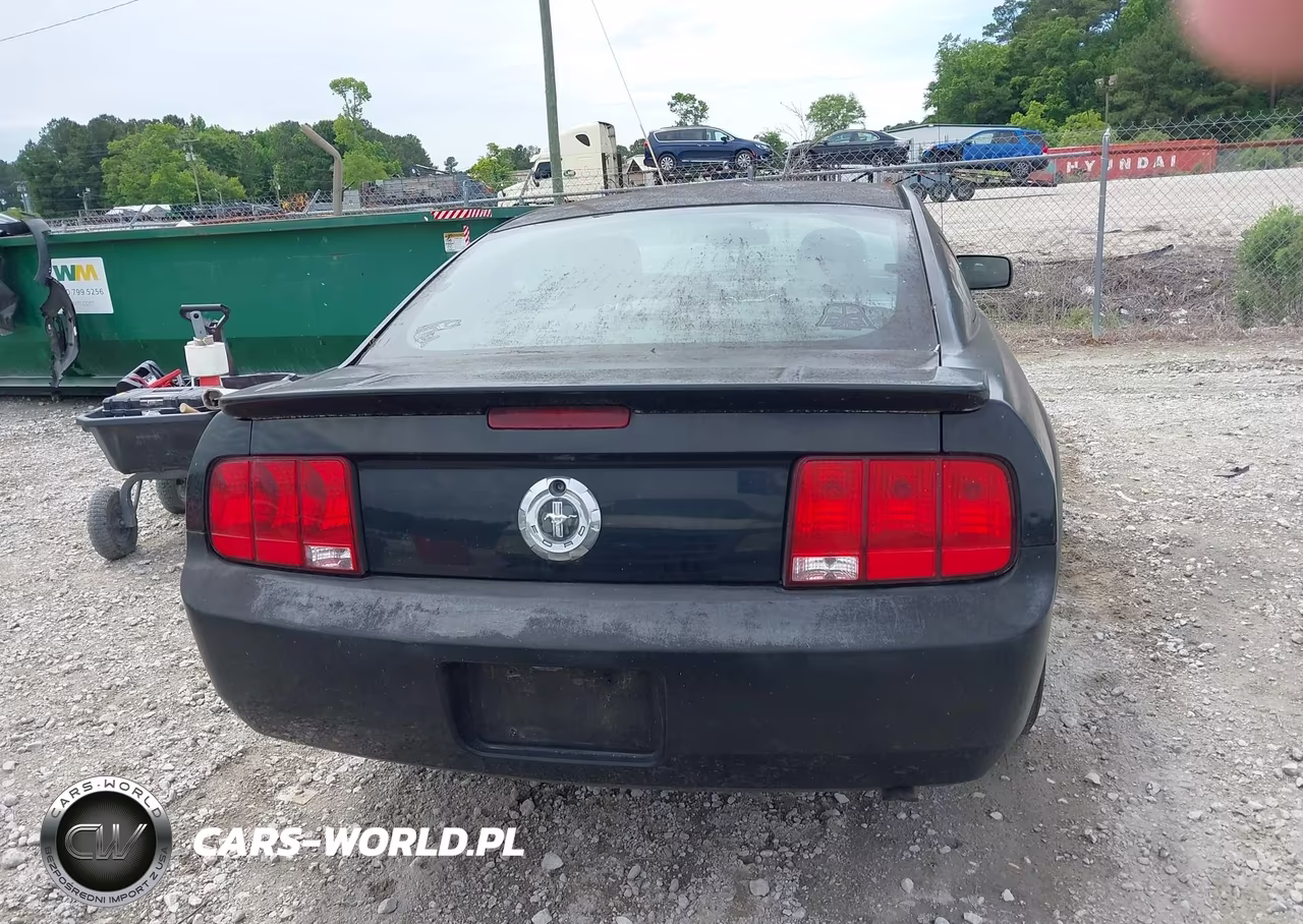 2008 Ford Mustang V6 Deluxe-V6 Premium VIN:1ZVHT80N985173807 - 16