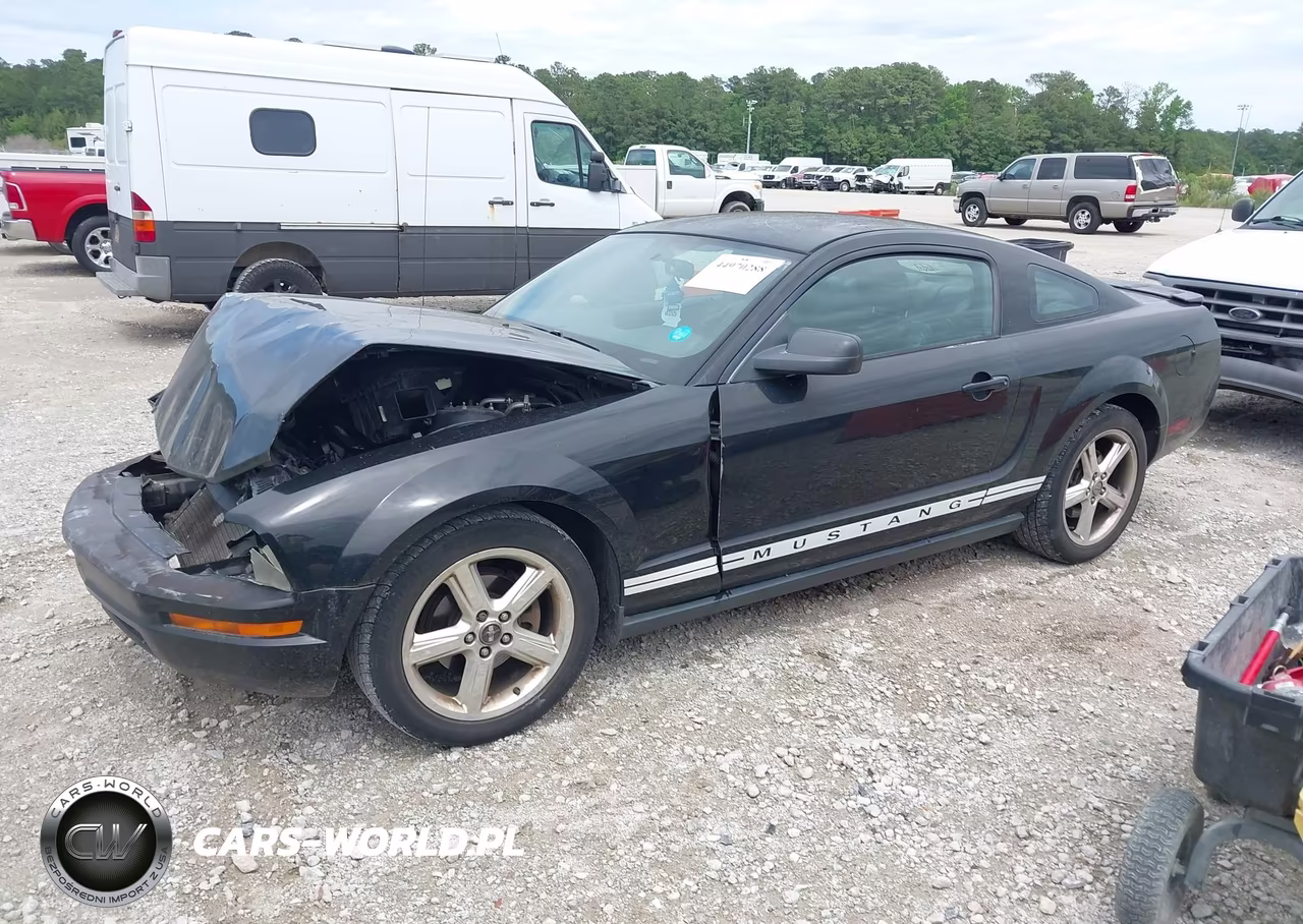 2008 Ford Mustang V6 Deluxe-V6 Premium VIN:1ZVHT80N985173807 - 2