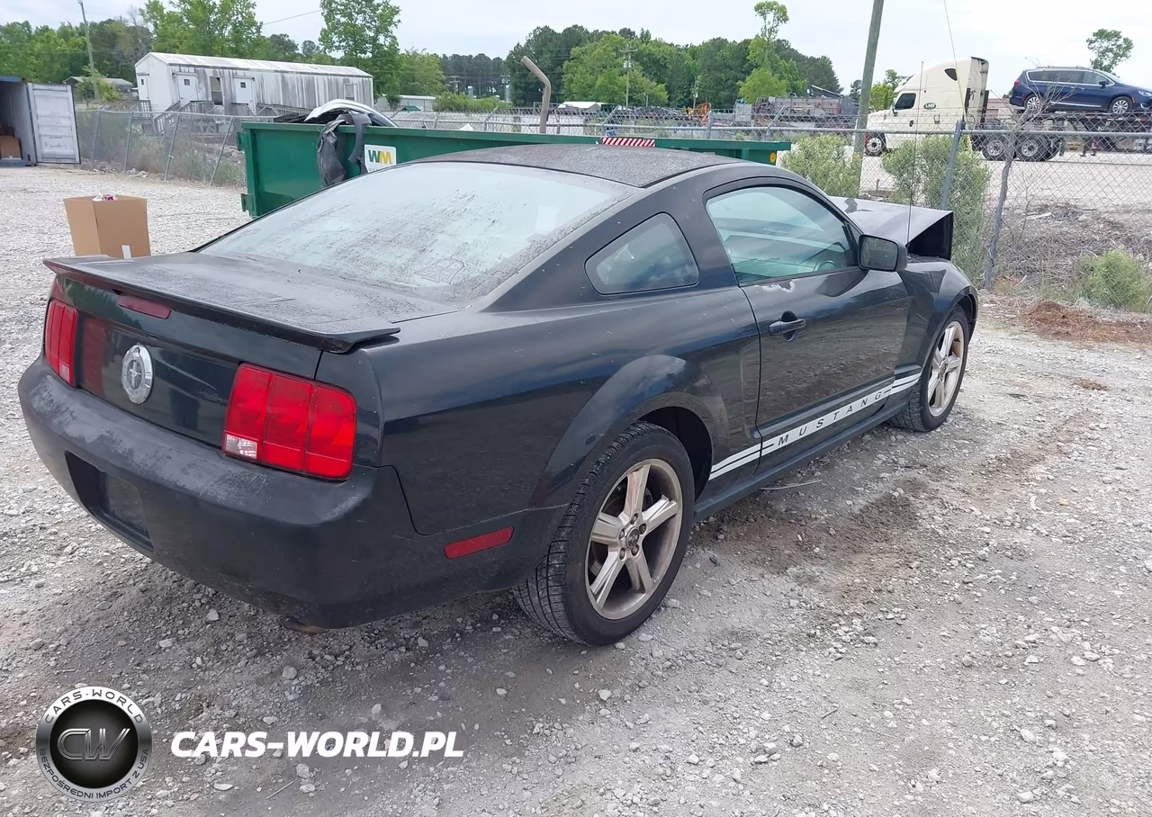 2008 Ford Mustang V6 Deluxe-V6 Premium VIN:1ZVHT80N985173807 - 4