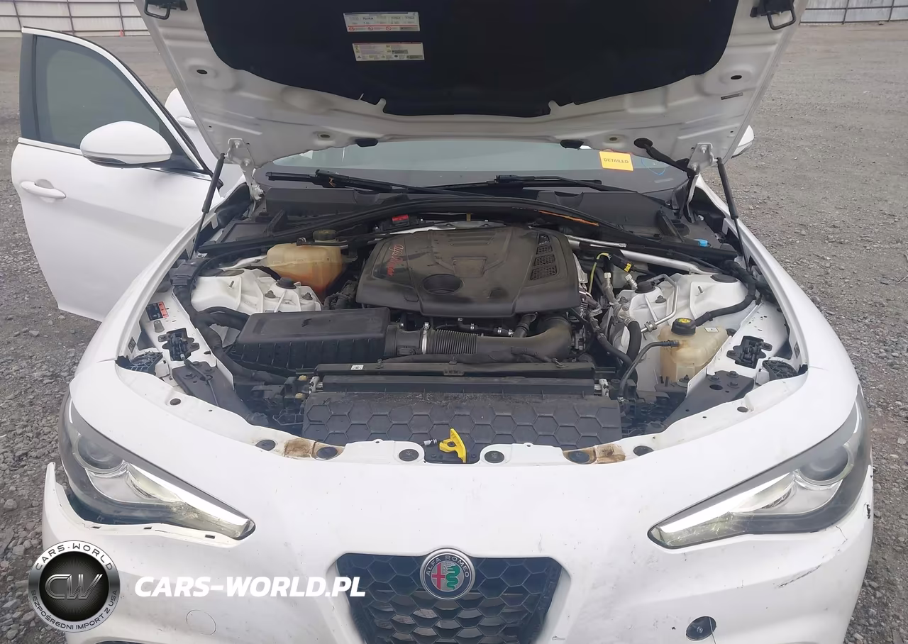 2018 Alfa Romeo Giulia Rwd VIN:ZARFAEBN2J7566267 - 10
