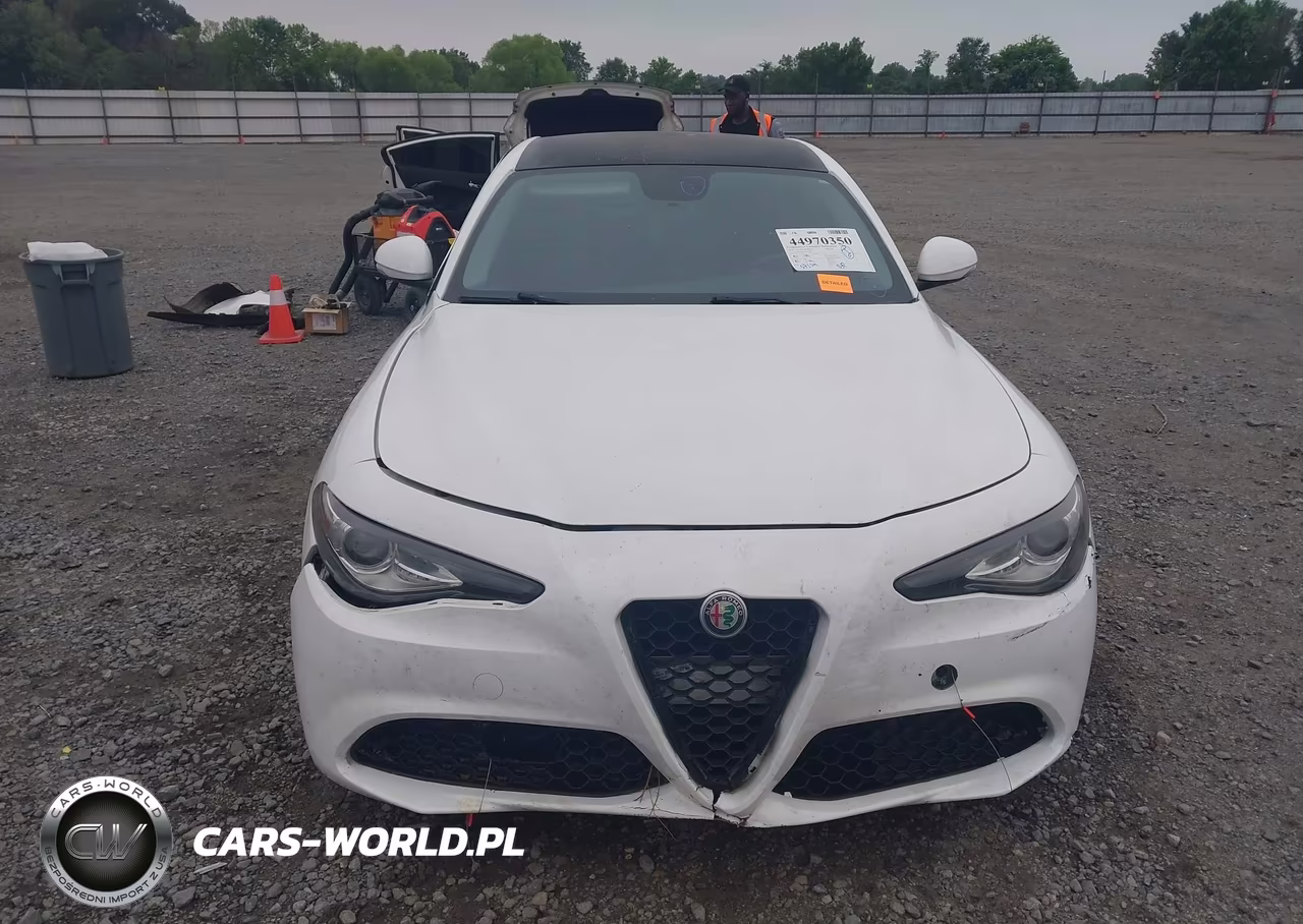 2018 Alfa Romeo Giulia Rwd VIN:ZARFAEBN2J7566267 - 12