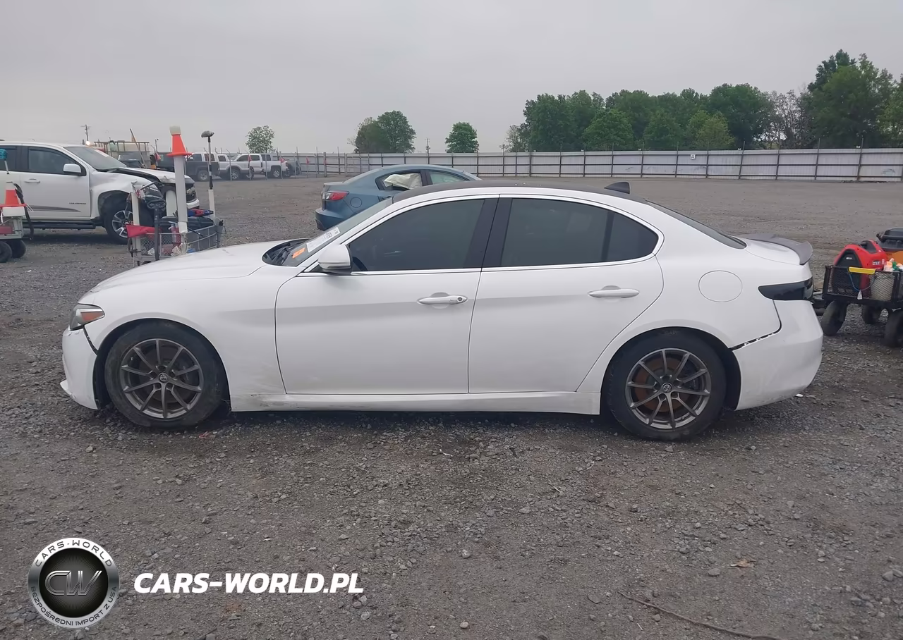 2018 Alfa Romeo Giulia Rwd VIN:ZARFAEBN2J7566267 - 14