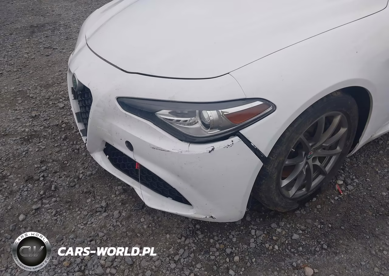 2018 Alfa Romeo Giulia Rwd VIN:ZARFAEBN2J7566267 - 6