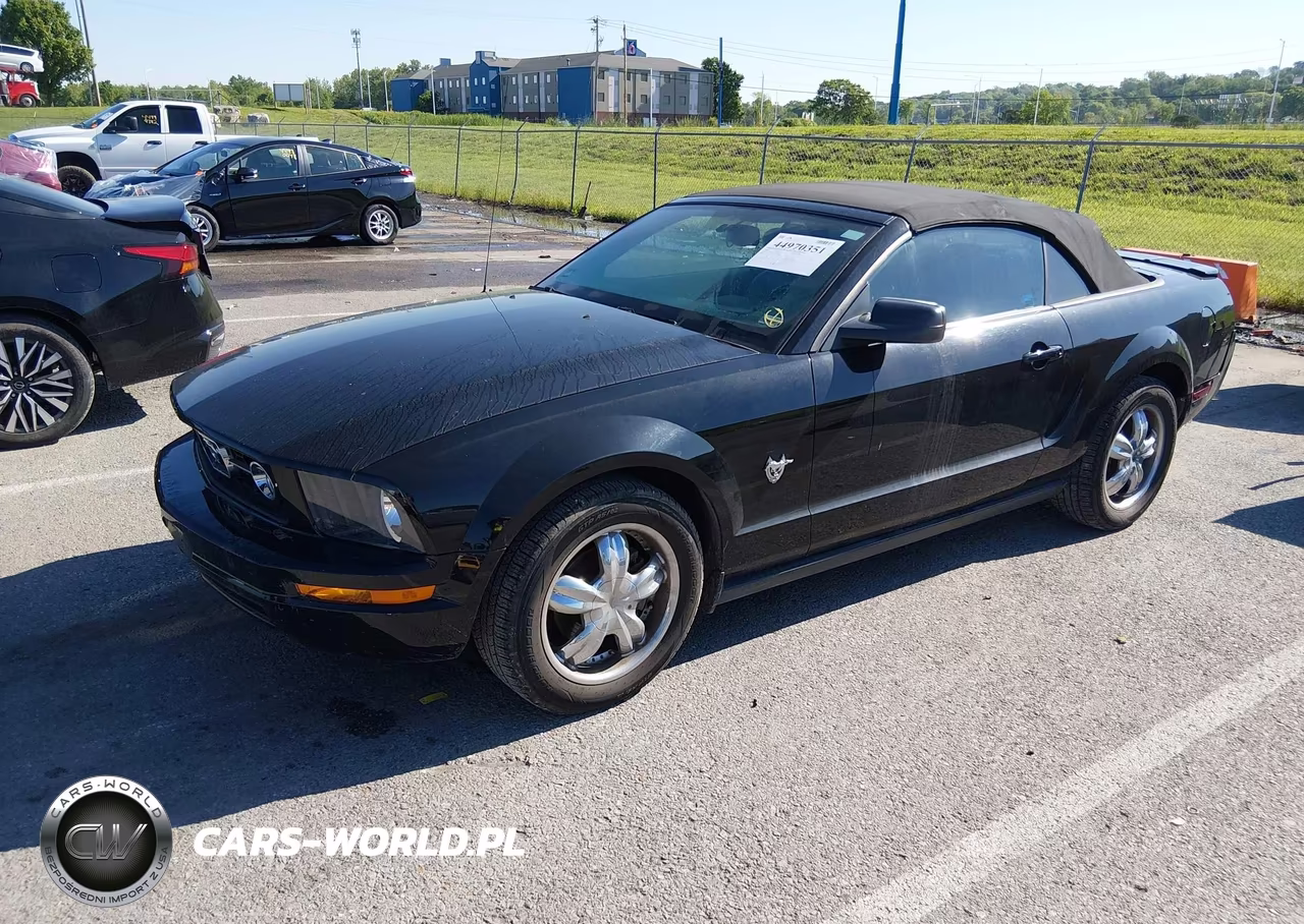 2009 Ford Mustang V6-V6 Premium VIN:1ZVHT84N495116636 - 2