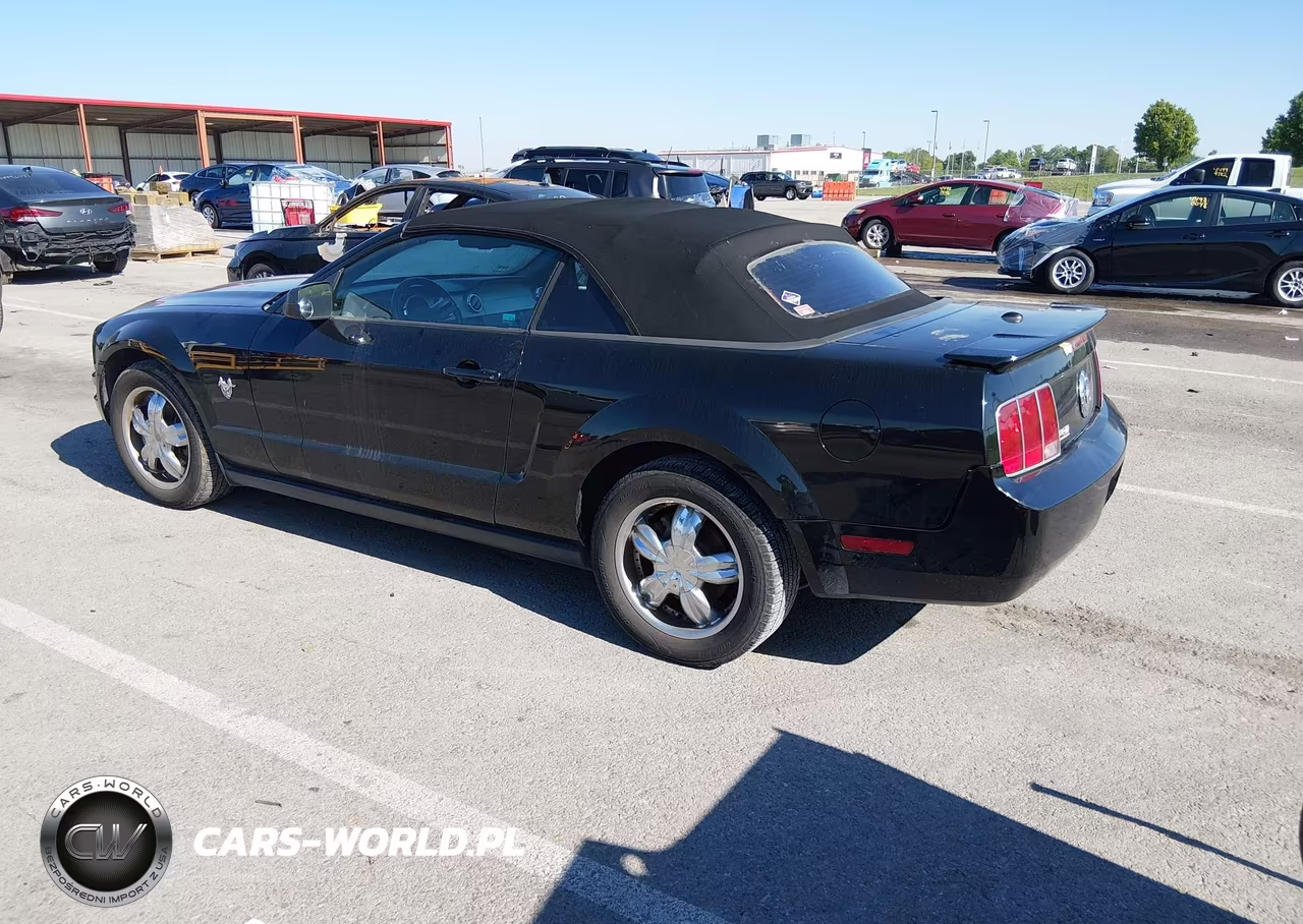 2009 Ford Mustang V6-V6 Premium VIN:1ZVHT84N495116636 - 3