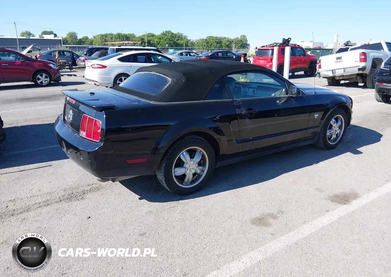 2009 Ford Mustang V6-V6 Premium VIN:1ZVHT84N495116636 - 4