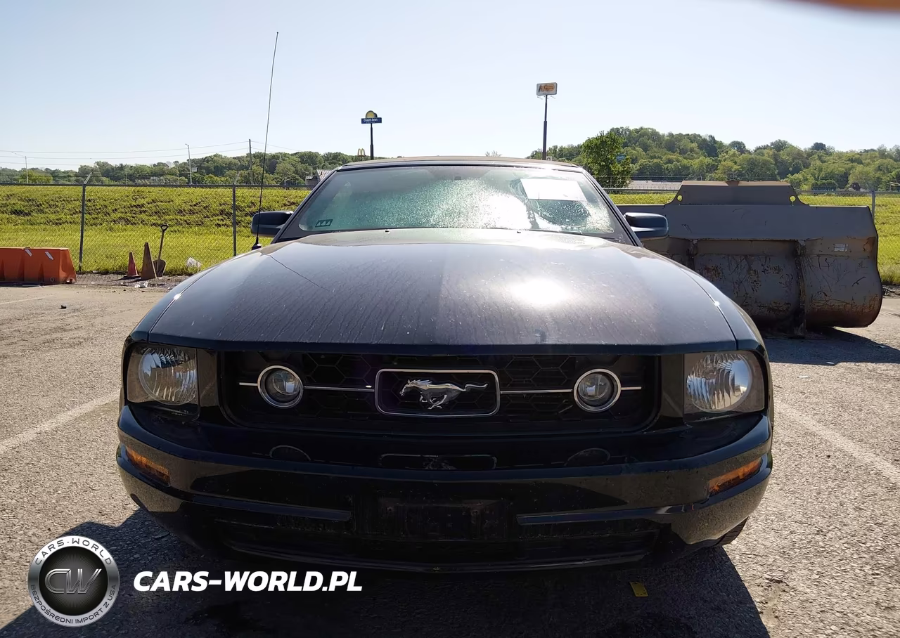 2009 Ford Mustang V6-V6 Premium VIN:1ZVHT84N495116636 - 6