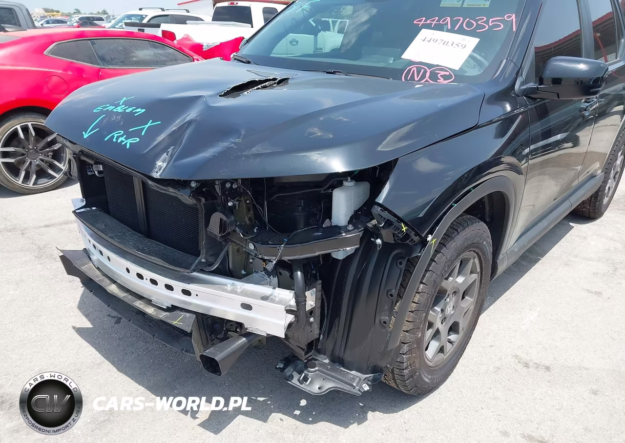 2025 Honda Pilot Trailsport VIN:5FNYG1H67SB190090 - 6