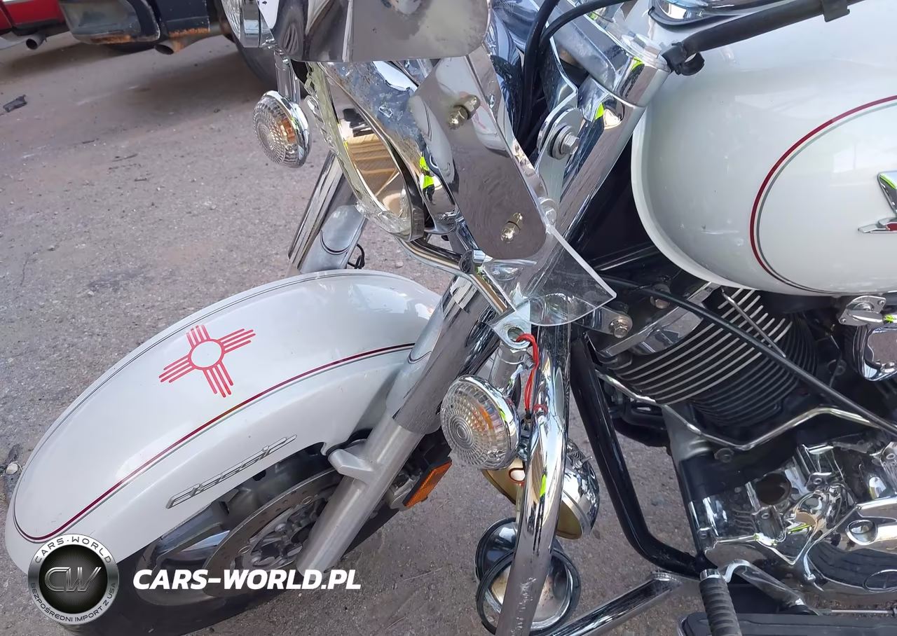 2005 Yamaha Xvs1100 A VIN:JYAVP11E65A062064 - 14