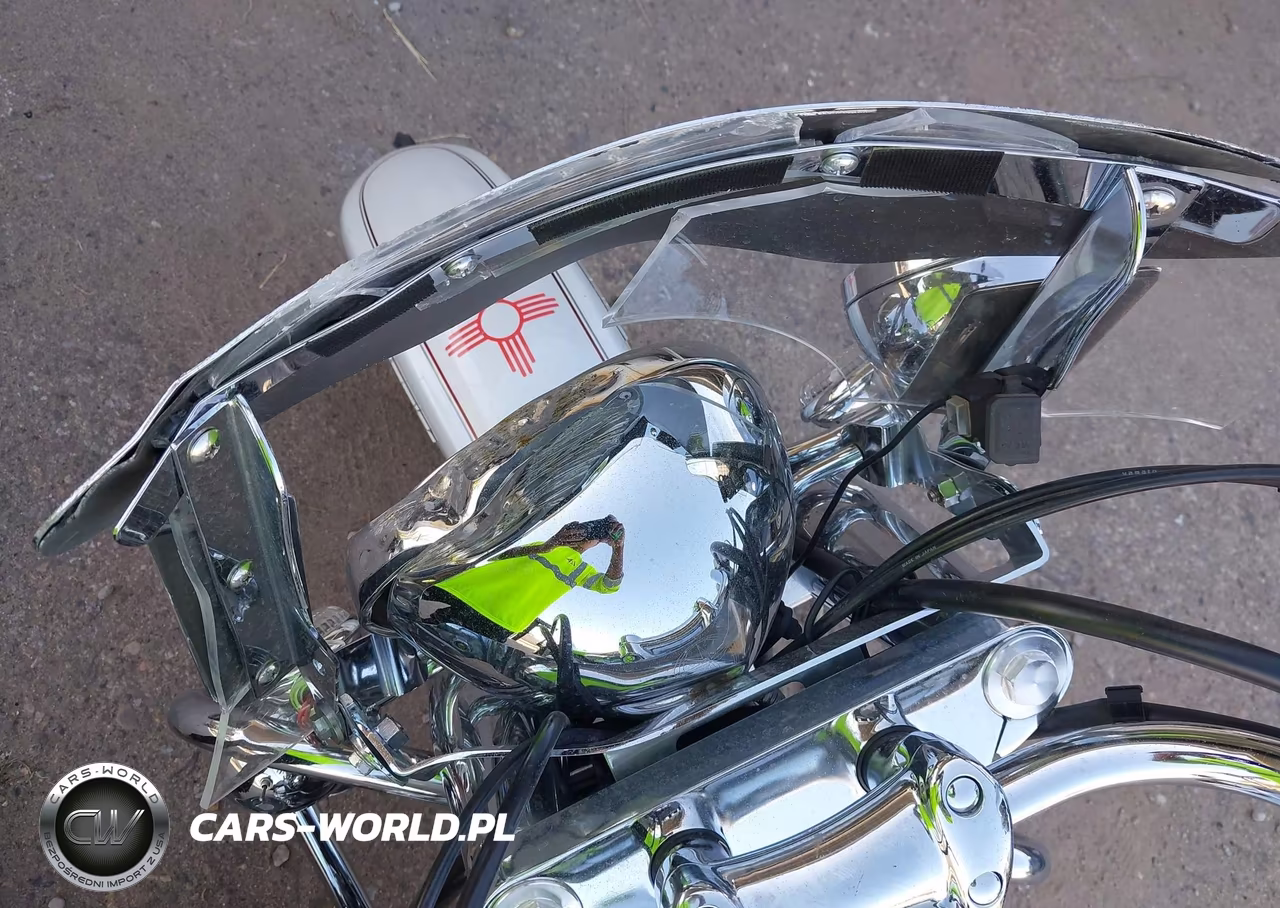 2005 Yamaha Xvs1100 A VIN:JYAVP11E65A062064 - 15