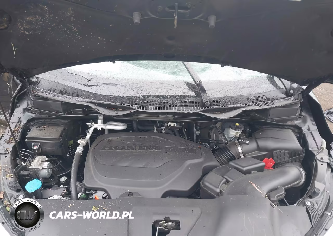 2023 Honda Odyssey Elite VIN:5FNRL6H9XPB005433 - 10