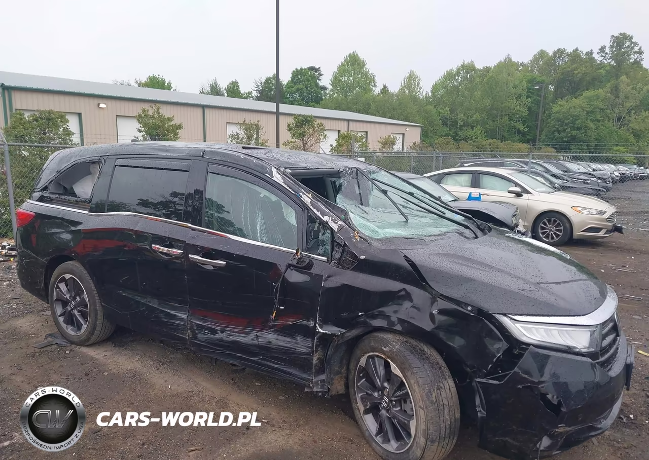 2023 Honda Odyssey Elite VIN:5FNRL6H9XPB005433 - 6