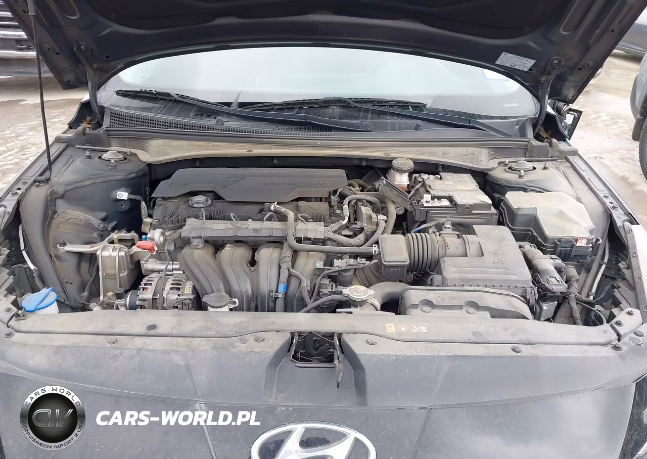2023 Hyundai Elantra Sel VIN:5NPLS4AG4PH097498 - 10