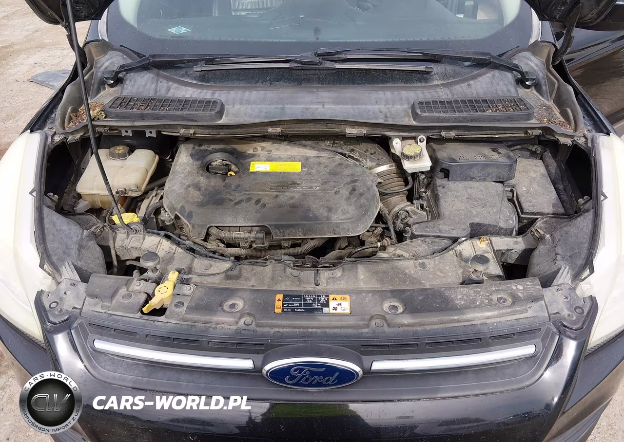 2016 Ford Escape Se VIN:1FMCU0GXXGUB36350 - 10