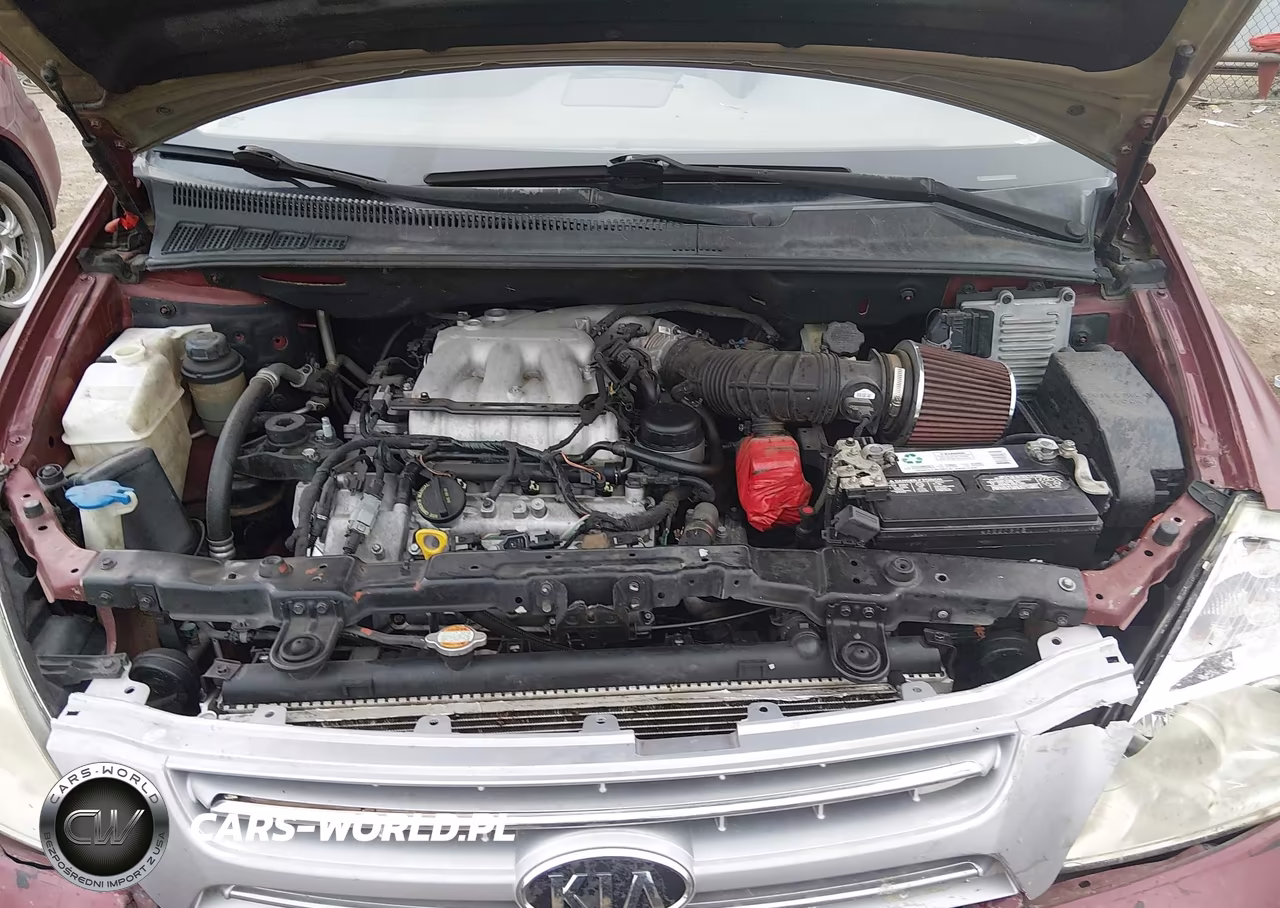 2008 Kia Sedona Lx VIN:KNDMB233X86246124 - 10
