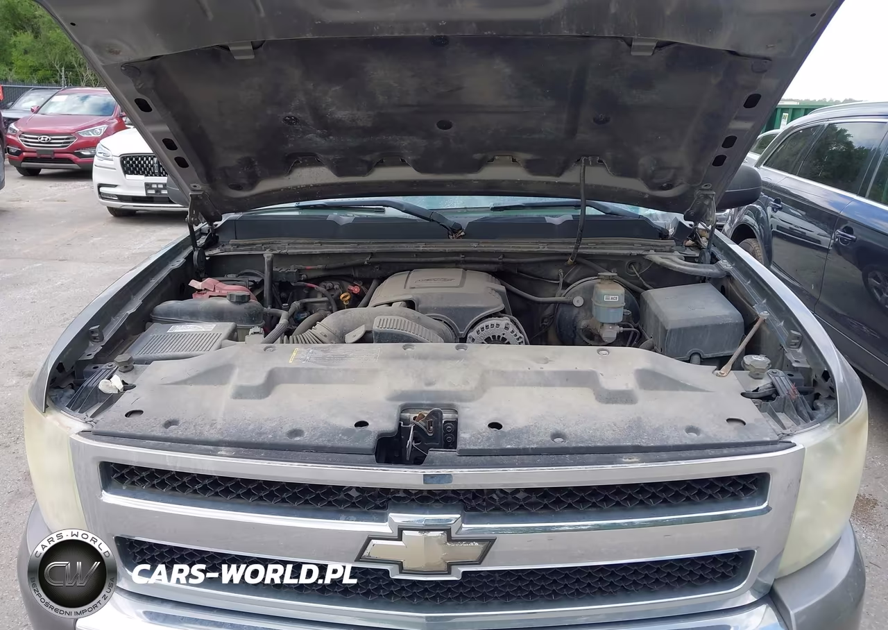 2009 Chevrolet Silverado 1500 Lt VIN:1GCEK24079E100019 - 10
