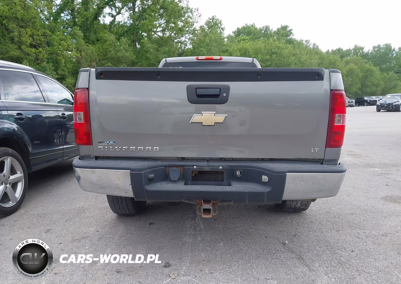 2009 Chevrolet Silverado 1500 Lt VIN:1GCEK24079E100019 - 16