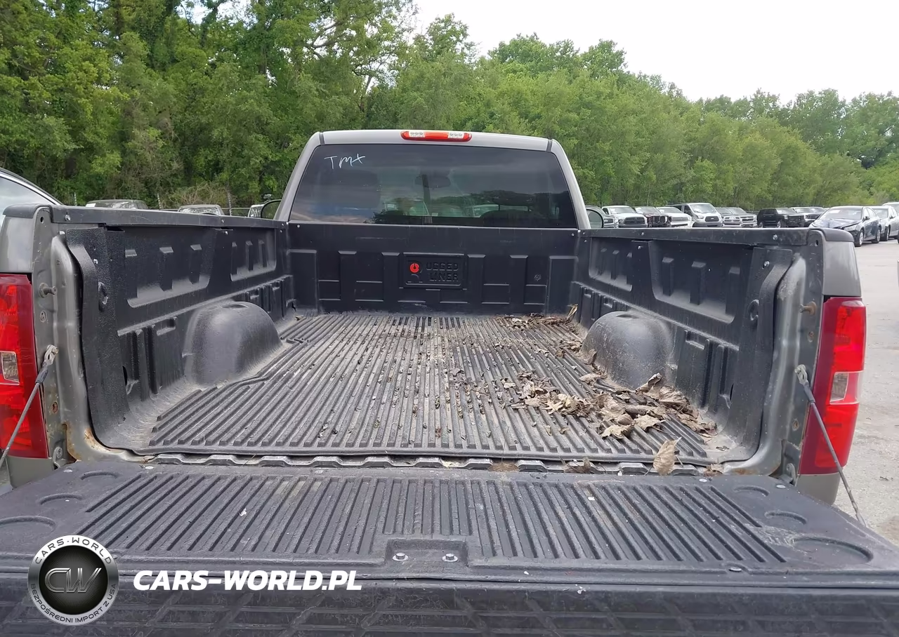 2009 Chevrolet Silverado 1500 Lt VIN:1GCEK24079E100019 - 8