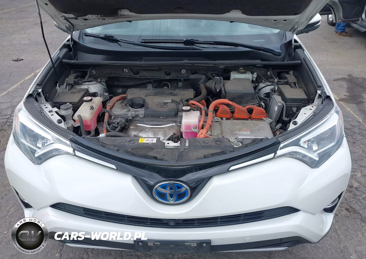 2017 Toyota Rav4 Hybrid Limited VIN:JTMDJREVXHD135238 - 10