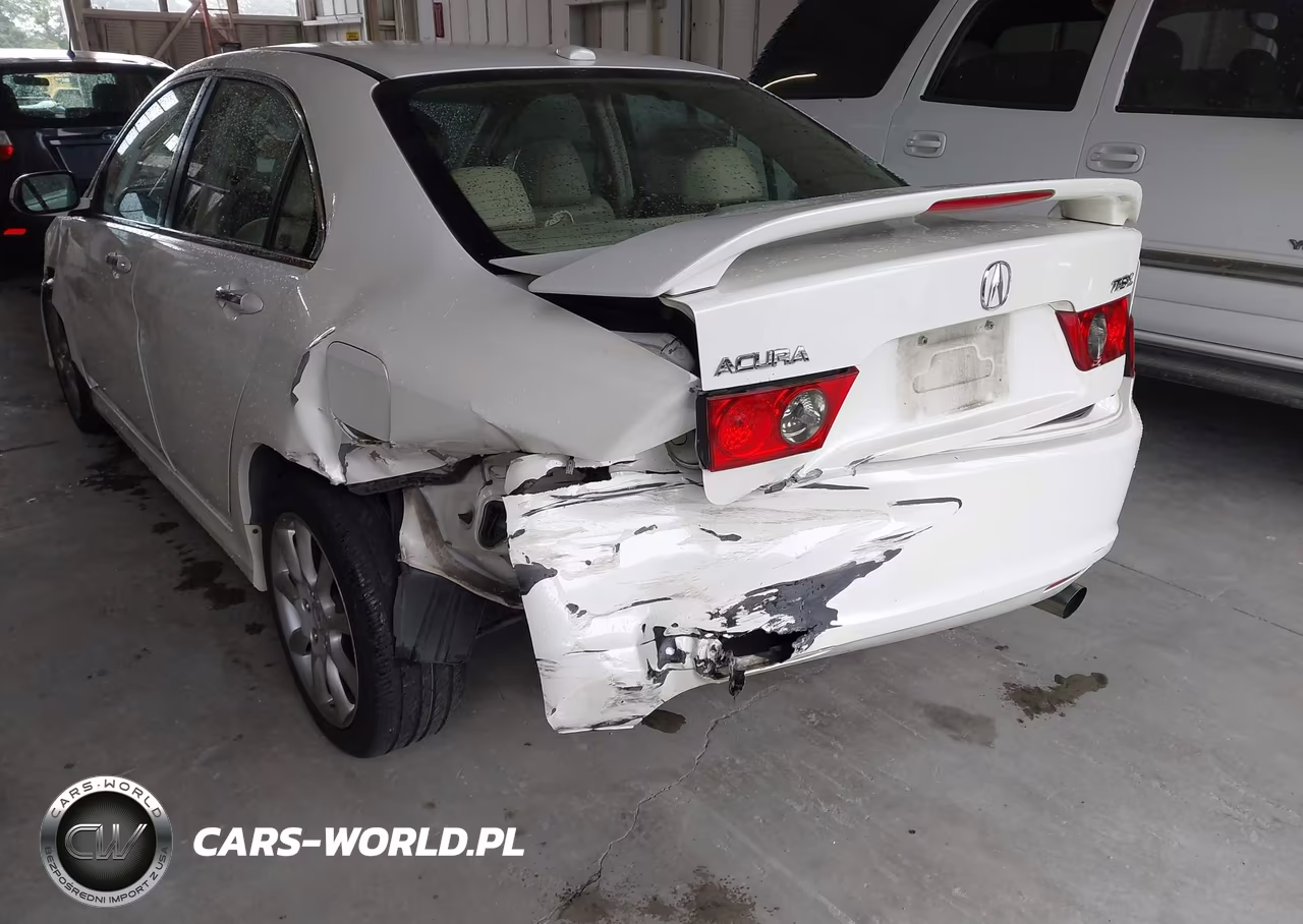 2006 Acura Tsx VIN:JH4CL96866C039879 - 19