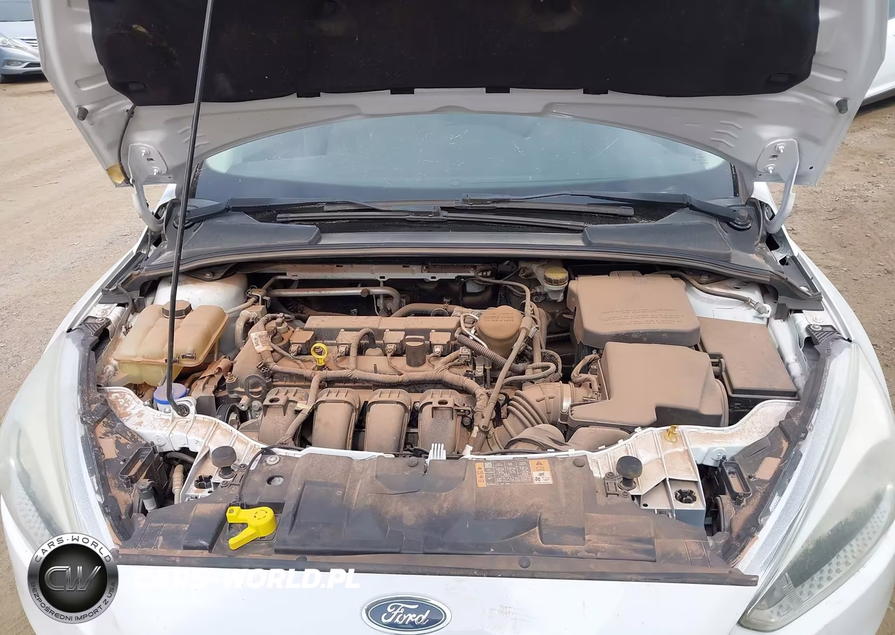2016 Ford Focus Se VIN:1FADP3F23GL254405 - 10
