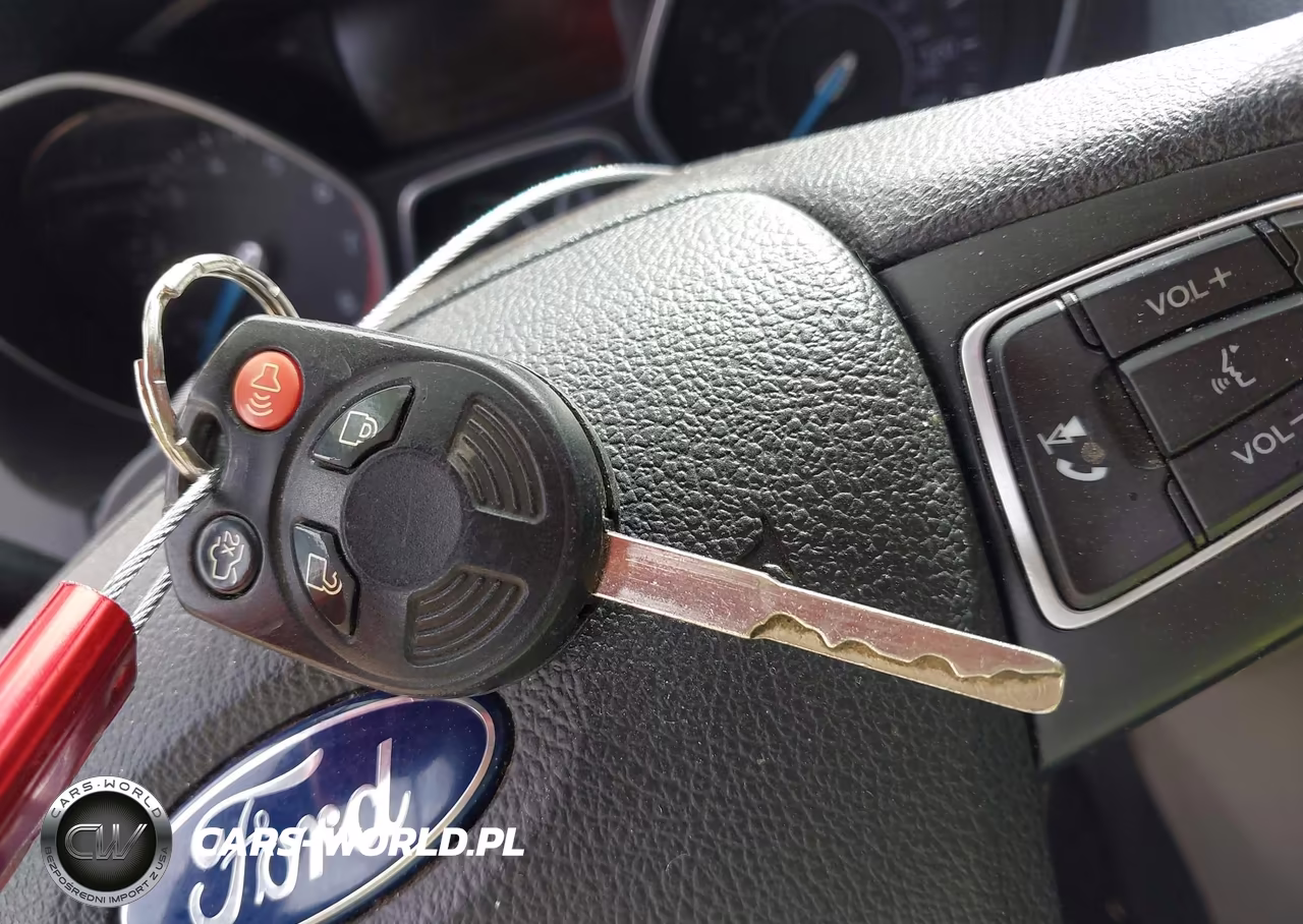 2016 Ford Focus Se VIN:1FADP3F23GL254405 - 11