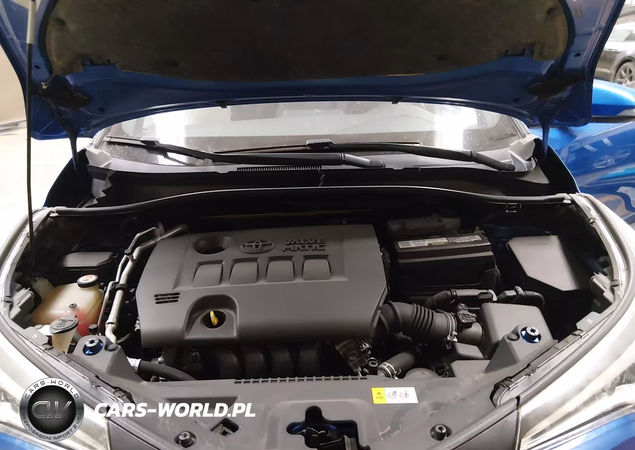 2019 Toyota C-Hr Xle VIN:JTNKHMBX9K1012806 - 10