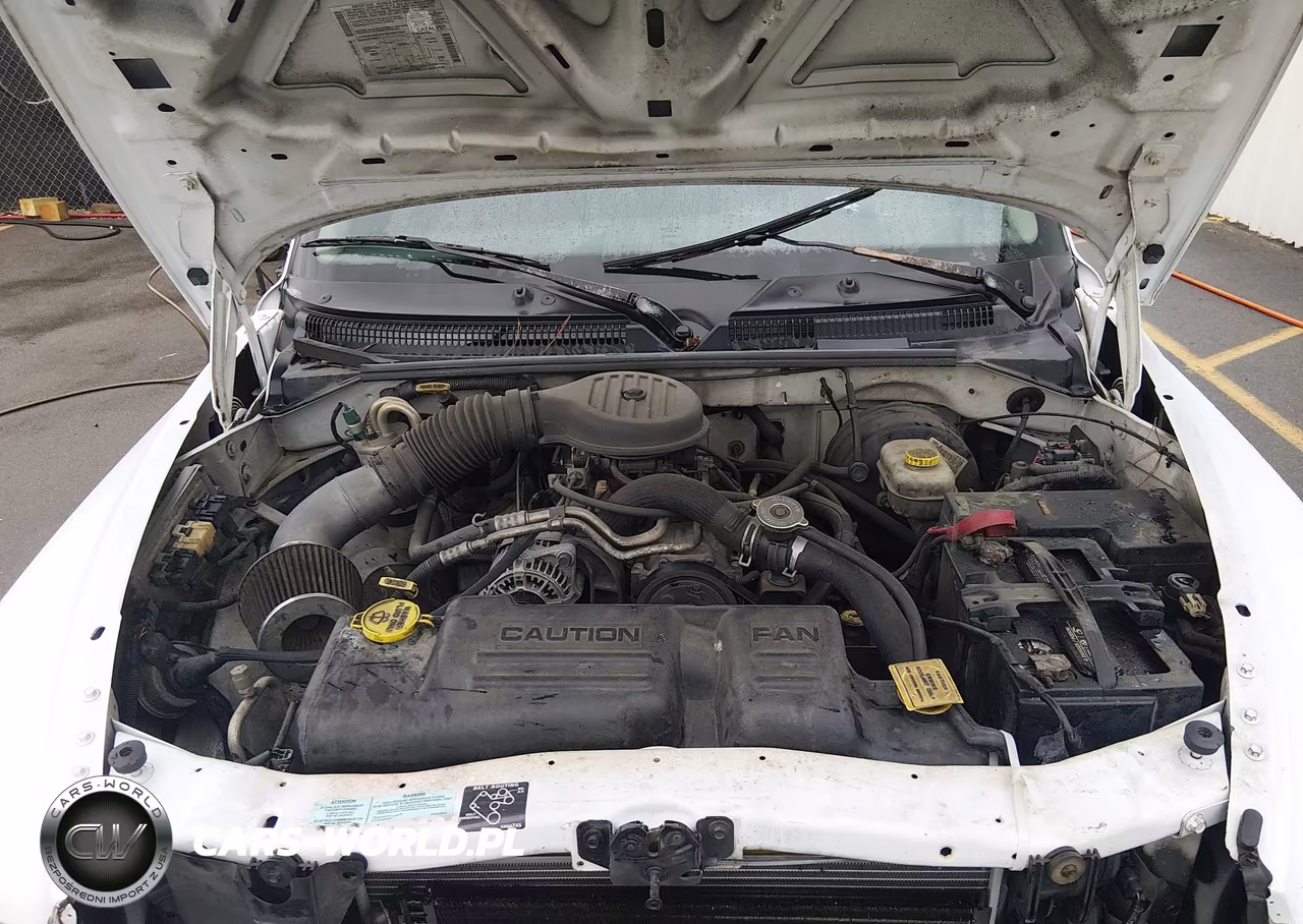 2001 Dodge Dakota Slt-Sport VIN:1B7GL22XX1S341343 - 10