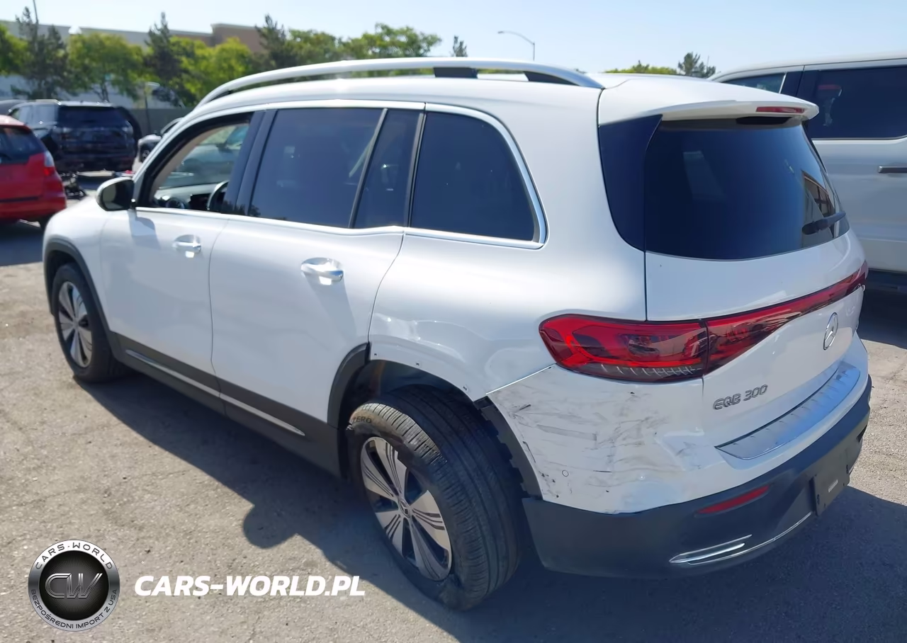 2023 Mercedes-Benz Eqb 300 Suv 4Matic VIN:W1N9M0KB3PN065098 - 6
