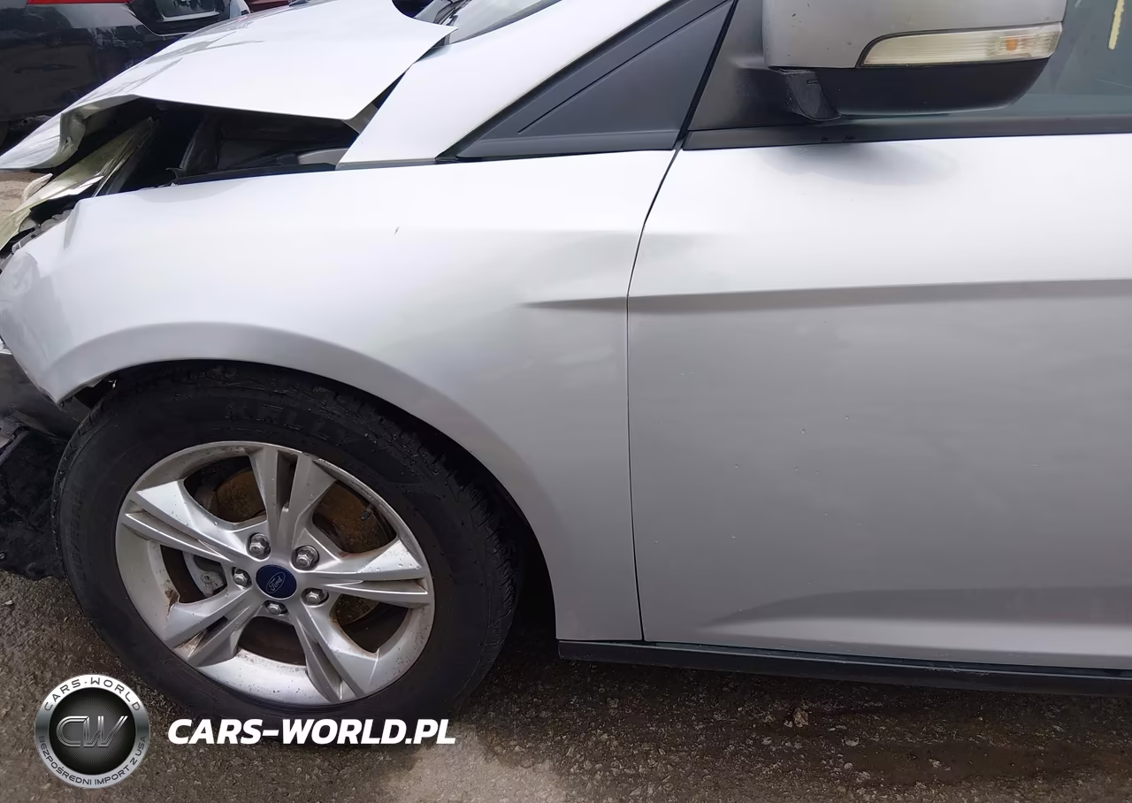 2013 Ford Focus Se VIN:1FADP3K24DL298320 - 18