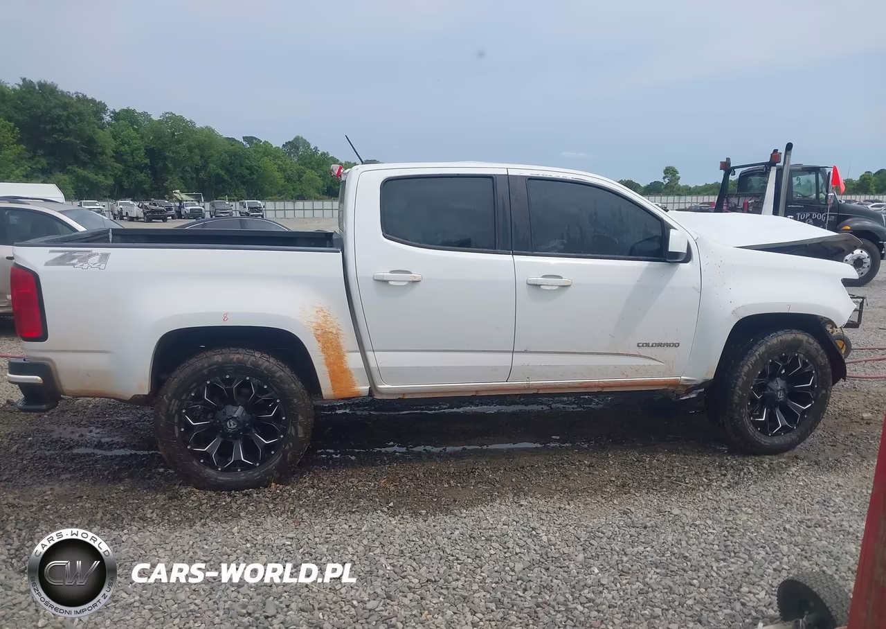 2015 Chevrolet Colorado Z71 VIN:1GCGTCE3XF1230013 - 13