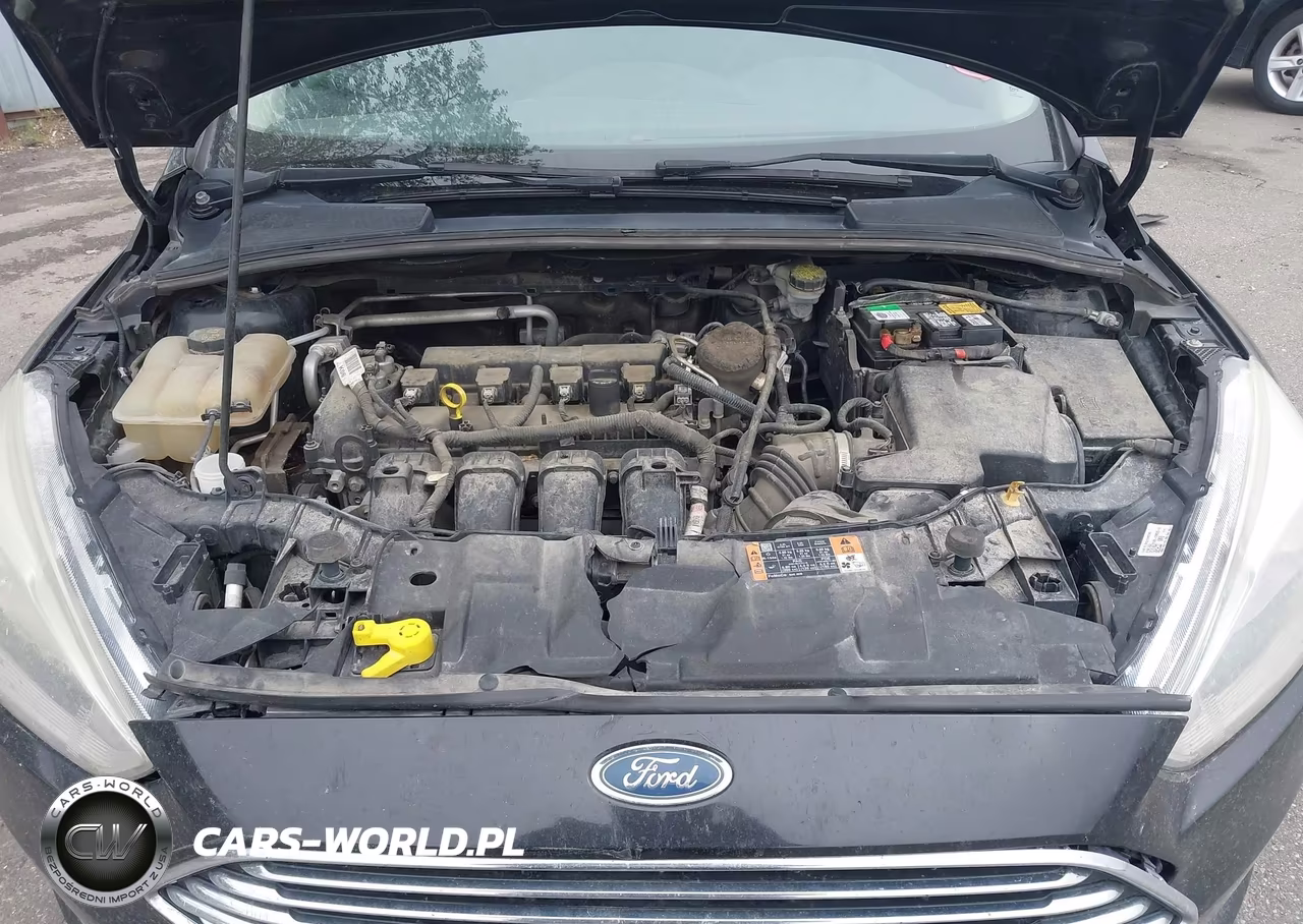 2015 Ford Focus Titanium VIN:1FADP3N29FL293919 - 10