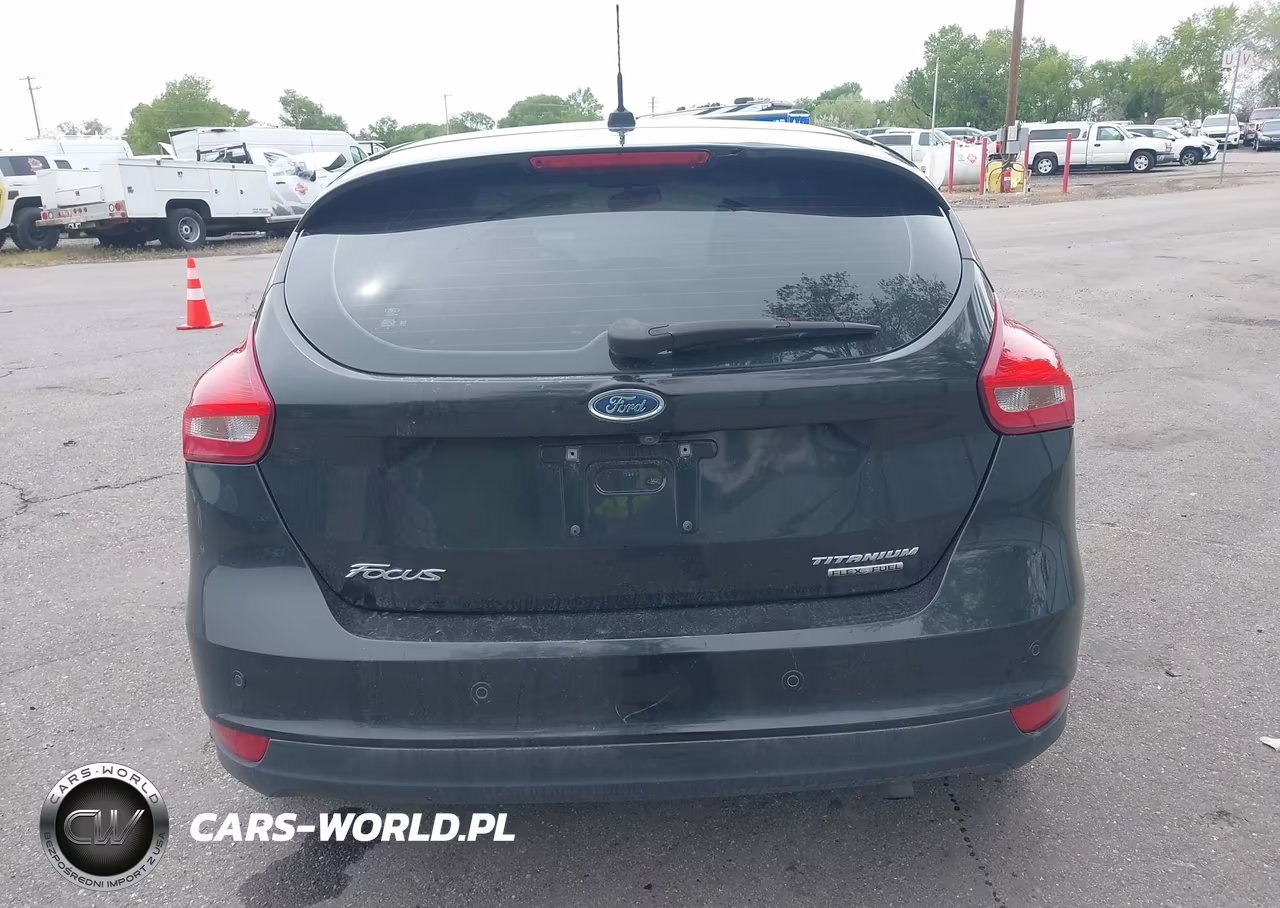2015 Ford Focus Titanium VIN:1FADP3N29FL293919 - 16