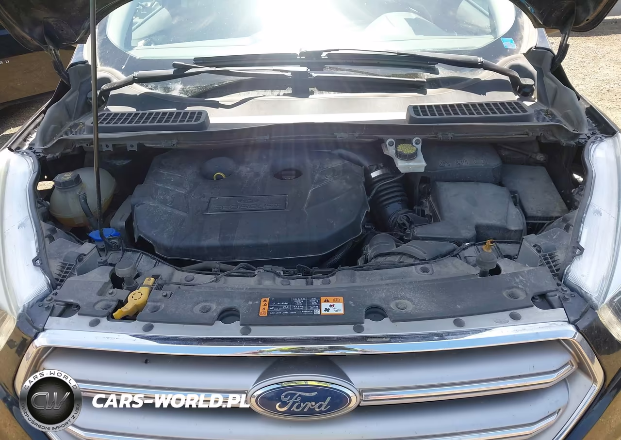 2017 Ford Escape Se VIN:1FMCU9G95HUC67998 - 10