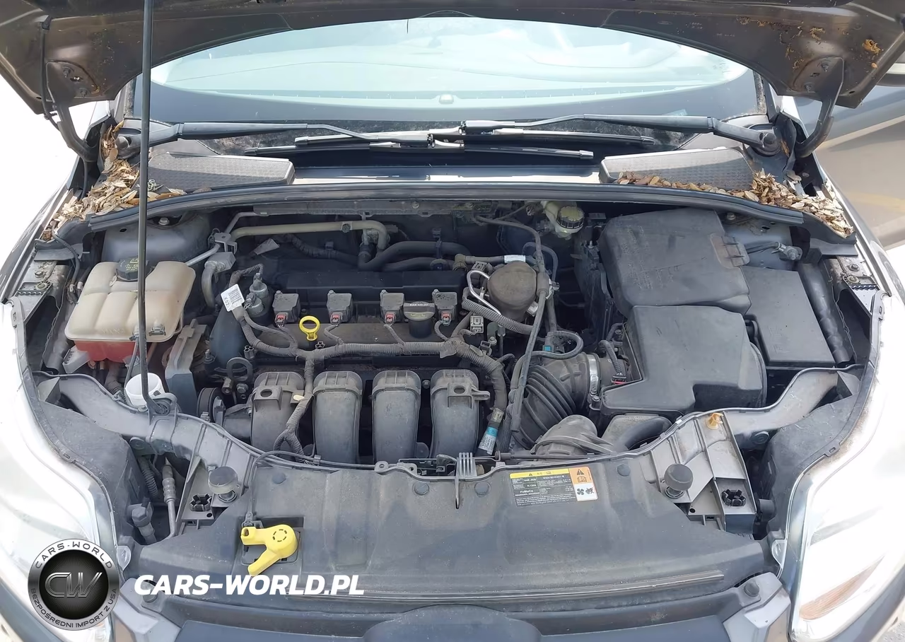 2014 Ford Focus Se VIN:1FADP3K21EL236729 - 10