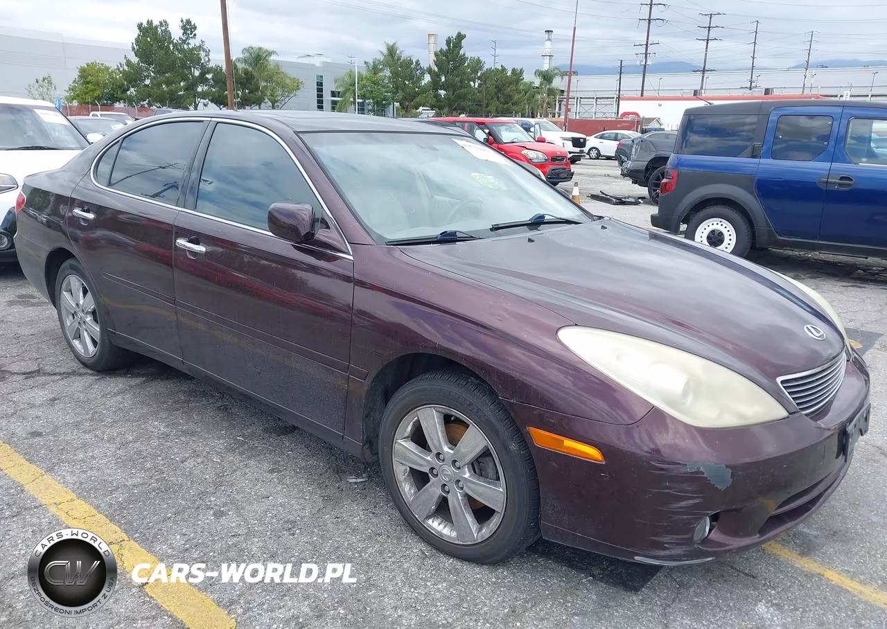 2005 Lexus Es 330 VIN:JTHBA30G555070283 - 6