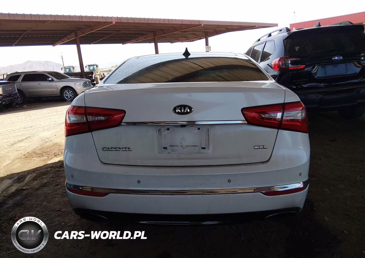 2014 Kia Cadenza Limited VIN:KNALN4D75E5151792 - 17