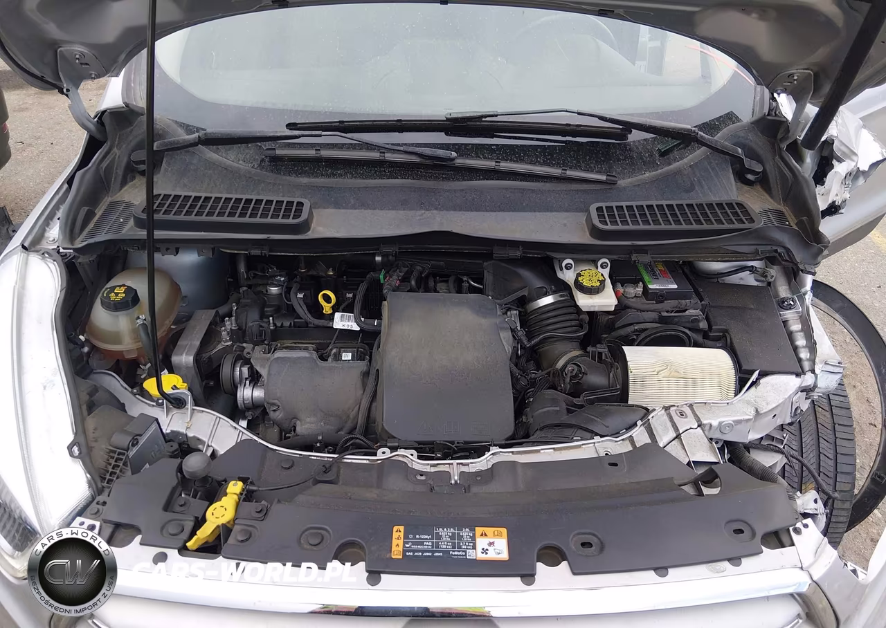2019 Ford Escape Titanium VIN:1FMCU9J98KUA19244 - 10