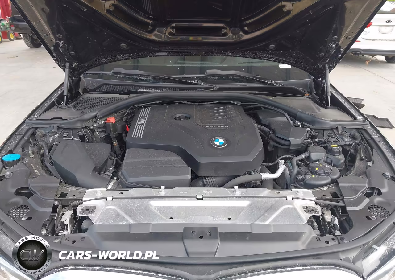 2019 BMW 330I VIN:3MW5R1J53K8B03317 - 10