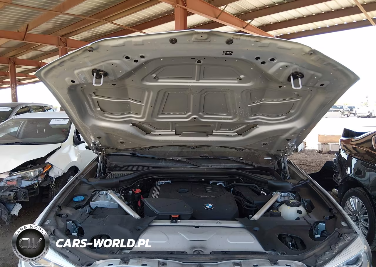 2021 BMW X3 Sdrive30I VIN:5UXTY3C03M9H02500 - 10