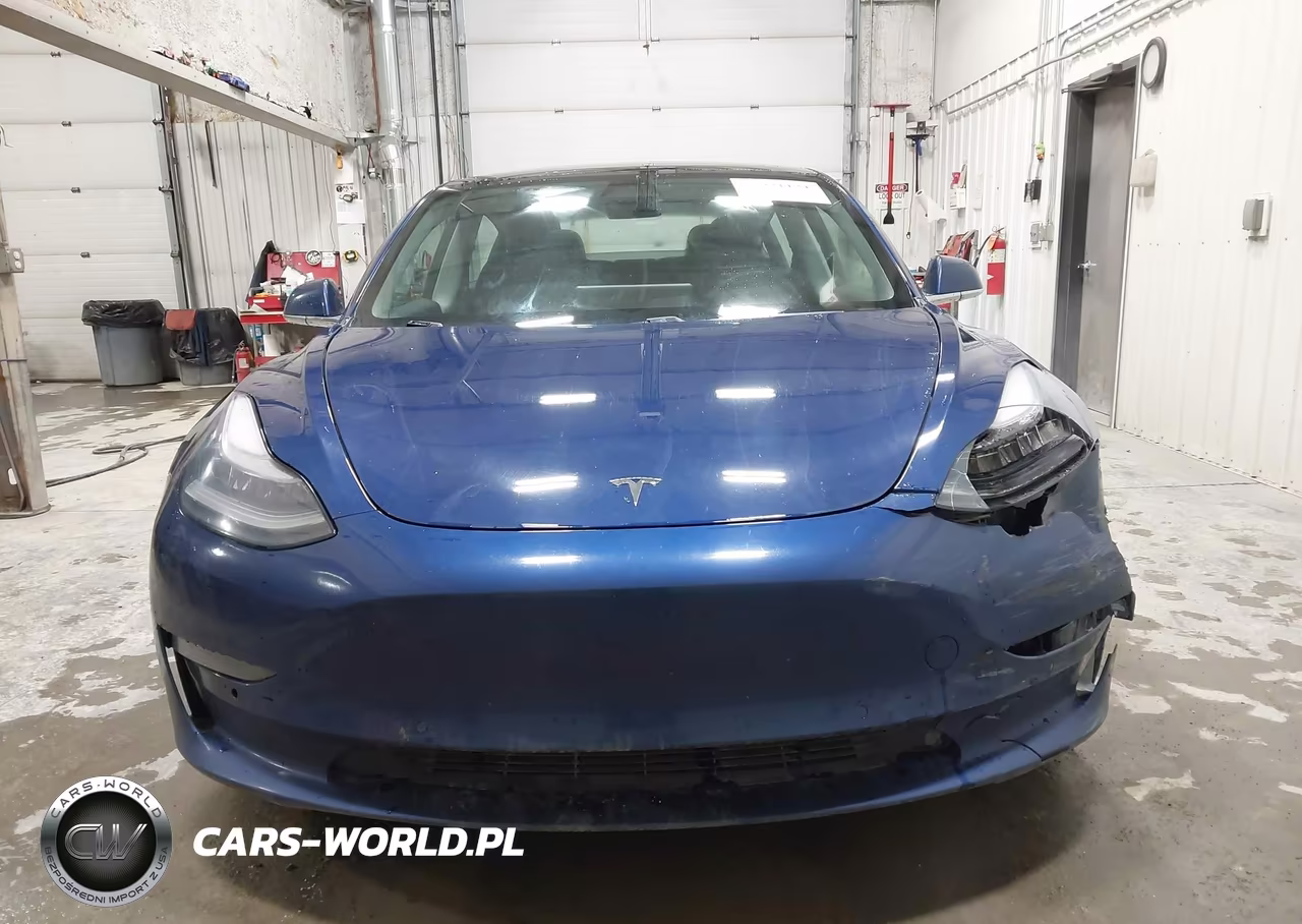 2019 Tesla Model 3 Long Range-Performance VIN:5YJ3E1EB6KF465028 - 12